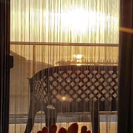 Apartament Andy Mamaia Nord 30 M De Plaja ナボダリ エクステリア 写真